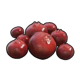 Red Berries item icon in Palworld