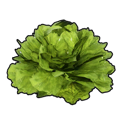Lettuce item icon in Palworld