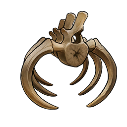Ancient Bone
