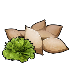 Lettuce Seeds item icon in Palworld