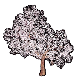 Faux Cherry Blossoms C structure icon in Palworld