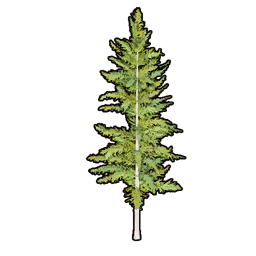 Faux Greenery C structure icon in Palworld